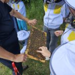 Schulbienenführung / Schulbienen-Unterricht zur Stärkung geflüchteter Kinder und Jugendlicher / Initiative Bienen-leben-in-Bamberg.de