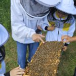 Schulbienenführung / Schulbienen-Unterricht zur Stärkung geflüchteter Kinder und Jugendlicher / Initiative Bienen-leben-in-Bamberg.de