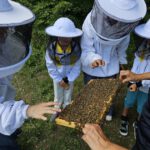 Schulbienenführung / Schulbienen-Unterricht zur Stärkung geflüchteter Kinder und Jugendlicher / Initiative Bienen-leben-in-Bamberg.de