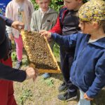 Grundschule Scheßlitz, Klasse 2a zum Schulbienen-Unterricht / Schulbienenführung in der Bienen-InfoWabe, Bienen-leben-in-Bamberg.de