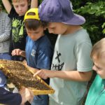Grundschule Scheßlitz, Klasse 2a zum Schulbienen-Unterricht / Schulbienenführung in der Bienen-InfoWabe, Bienen-leben-in-Bamberg.de