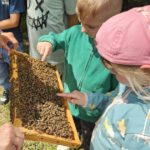 Grundschule Scheßlitz, Klasse 2a zum Schulbienen-Unterricht / Schulbienenführung in der Bienen-InfoWabe, Bienen-leben-in-Bamberg.de