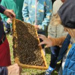 Grundschule Scheßlitz, Klasse 2a zum Schulbienen-Unterricht / Schulbienenführung in der Bienen-InfoWabe, Bienen-leben-in-Bamberg.de