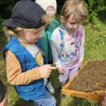 Grundschule Scheßlitz, Klasse 2a zum Schulbienen-Unterricht / Schulbienenführung in der Bienen-InfoWabe, Bienen-leben-in-Bamberg.de