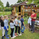 Rupprecht-Grundschule Bamberg, Klasse 2a zum Schulbienen-Unterricht / Schulbienenführung in der Bienen-InfoWabe, Bienen-leben-in-Bamberg.de