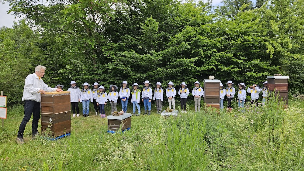 Rupprecht-Grundschule Bamberg, Klasse 2a zum Schulbienen-Unterricht / Schulbienenführung in der Bienen-InfoWabe, Bienen-leben-in-Bamberg.de