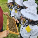 Rupprecht-Grundschule Bamberg, Klasse 2a zum Schulbienen-Unterricht / Schulbienenführung in der Bienen-InfoWabe, Bienen-leben-in-Bamberg.de