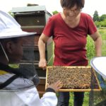 Rupprecht-Grundschule Bamberg, Klasse 2a zum Schulbienen-Unterricht / Schulbienenführung in der Bienen-InfoWabe, Bienen-leben-in-Bamberg.de