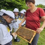 Rupprecht-Grundschule Bamberg, Klasse 2a zum Schulbienen-Unterricht / Schulbienenführung in der Bienen-InfoWabe, Bienen-leben-in-Bamberg.de