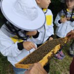 Rupprecht-Grundschule Bamberg, Klasse 2a zum Schulbienen-Unterricht / Schulbienenführung in der Bienen-InfoWabe, Bienen-leben-in-Bamberg.de