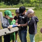 Schulbienenführung / Schulbienen-Unterricht im Ferienprogramm für den Offenen Ganztag (OGS) Grundschule Gaustadt. / Initiative Bienen-leben-in-Bamberg.de