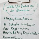 Rupprecht-Grundschule Bamberg, Klasse 2a zum Schulbienen-Unterricht / Schulbienenführung in der Bienen-InfoWabe, Bienen-leben-in-Bamberg.de