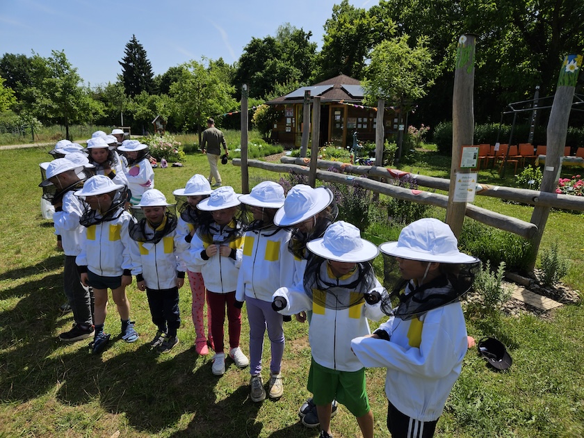 Schulbienenführung / Schulbienen-Unterricht im Ferienprogramm für den Offenen Ganztag (OGS) Grundschule Gaustadt. / Initiative Bienen-leben-in-Bamberg.de