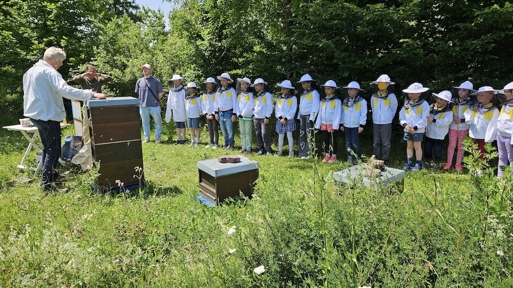 Schulbienenführung / Schulbienen-Unterricht im Ferienprogramm für den Offenen Ganztag (OGS) Grundschule Gaustadt. / Initiative Bienen-leben-in-Bamberg.de