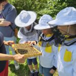 Schulbienenführung / Schulbienen-Unterricht im Ferienprogramm für den Offenen Ganztag (OGS) Grundschule Gaustadt. / Initiative Bienen-leben-in-Bamberg.de