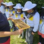 Schulbienenführung / Schulbienen-Unterricht im Ferienprogramm für den Offenen Ganztag (OGS) Grundschule Gaustadt. / Initiative Bienen-leben-in-Bamberg.de
