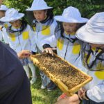 Schulbienenführung / Schulbienen-Unterricht im Ferienprogramm für den Offenen Ganztag (OGS) Grundschule Gaustadt. / Initiative Bienen-leben-in-Bamberg.de