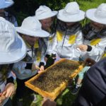 Schulbienenführung / Schulbienen-Unterricht im Ferienprogramm für den Offenen Ganztag (OGS) Grundschule Gaustadt. / Initiative Bienen-leben-in-Bamberg.de