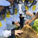Schulbienenführung / Schulbienen-Unterricht im Ferienprogramm für den Offenen Ganztag (OGS) Grundschule Gaustadt. / Initiative Bienen-leben-in-Bamberg.de
