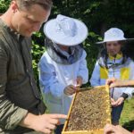 Schulbienenführung / Schulbienen-Unterricht im Ferienprogramm für den Offenen Ganztag (OGS) Grundschule Gaustadt. / Initiative Bienen-leben-in-Bamberg.de