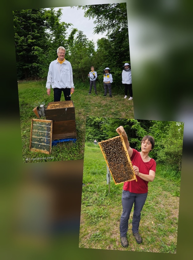 Rupprecht-Grundschule Bamberg, Klasse 2a zum Schulbienen-Unterricht / Schulbienenführung in der Bienen-InfoWabe, Bienen-leben-in-Bamberg.de