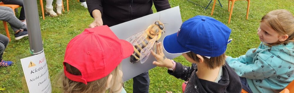 bienen-leben-in-bamberg.de