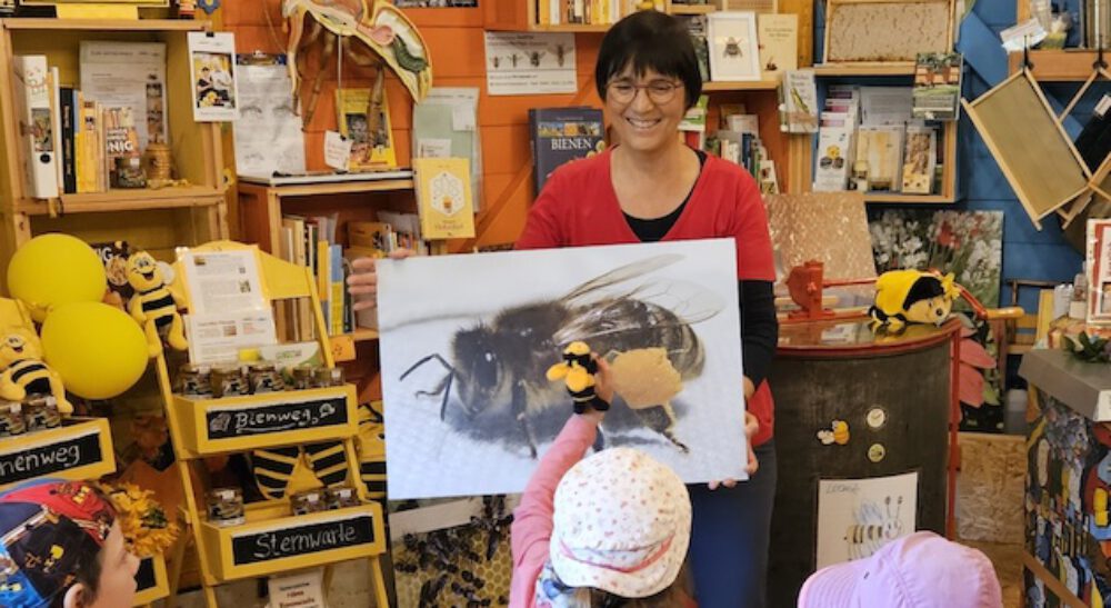 bienen-leben-in-bamberg.de
