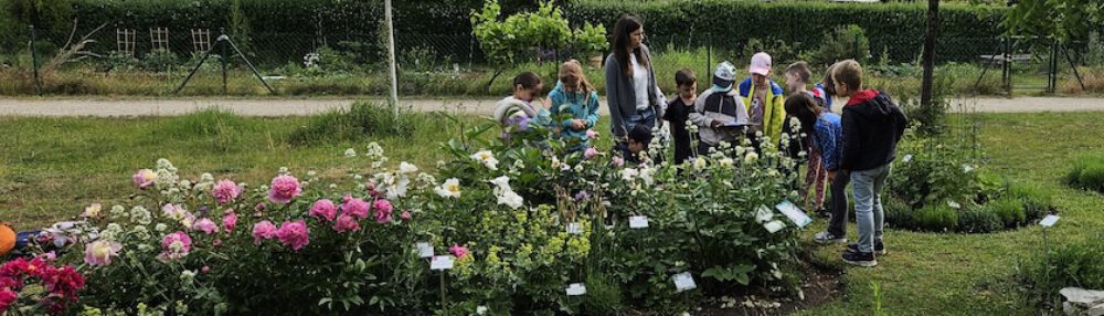 bienen-leben-in-bamberg.de