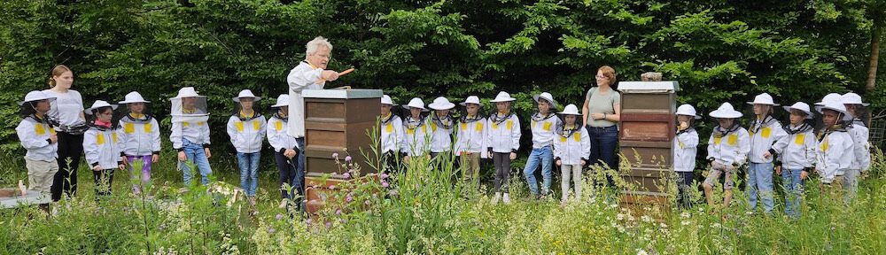 bienen-leben-in-bamberg.de