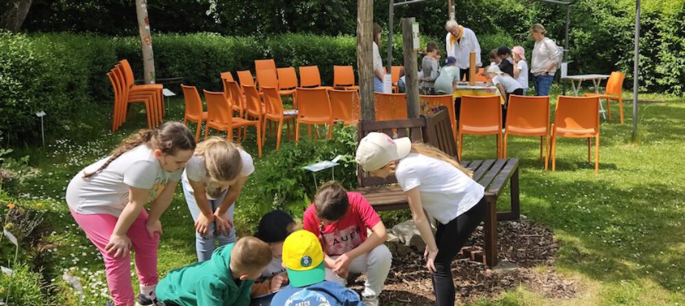 bienen-leben-in-bamberg.de