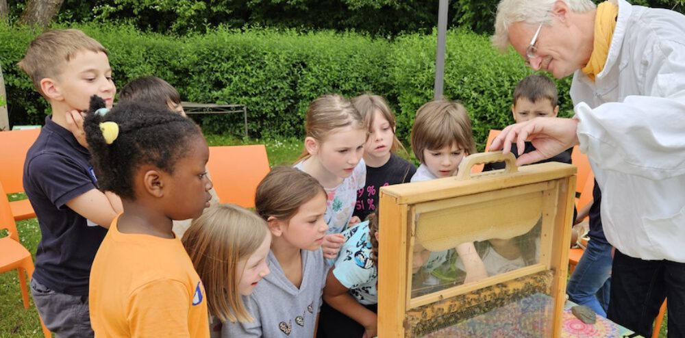bienen-leben-in-bamberg.de