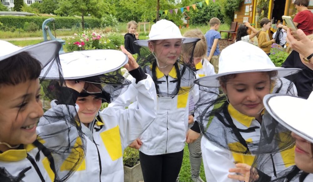 bienen-leben-in-bamberg.de