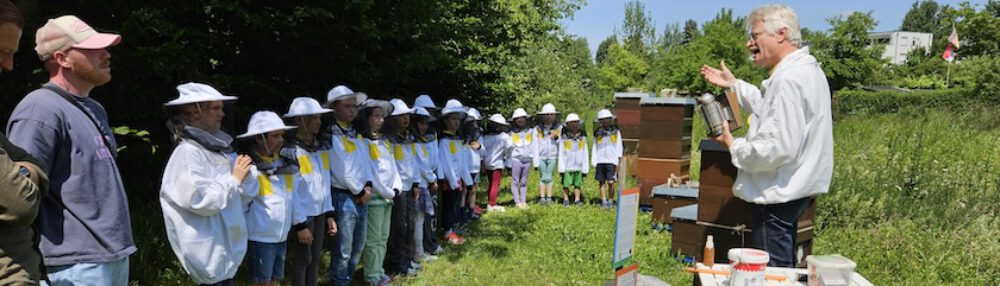 bienen-leben-in-bamberg.de