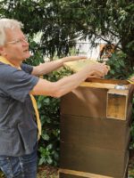 Ak25, Modul 7: Ernte Bamberger Lagenhonig, Standort Inselstadt / Weide am 12.07.2025 / Imkeranfängerkurs von Bienen-leben-in-Bamberg.de