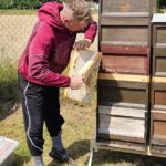 Ak25, Modul 7: Ernte Bamberger Lagenhonig, Standort Bughof am 05.07.2025 / Imkeranfängerkurs von Bienen-leben-in-Bamberg.de