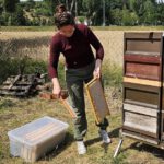 Ak25, Modul 7: Ernte Bamberger Lagenhonig, Standort Bughof am 05.07.2025 / Imkeranfängerkurs von Bienen-leben-in-Bamberg.de