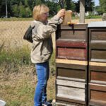 Ak25, Modul 7: Ernte Bamberger Lagenhonig, Standort Bughof am 05.07.2025 / Imkeranfängerkurs von Bienen-leben-in-Bamberg.de