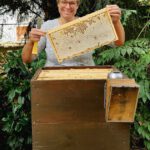 Ak25, Modul 7: Ernte Bamberger Lagenhonig, Standort Inselstadt / Weide am 12.07.2025 / Imkeranfängerkurs von Bienen-leben-in-Bamberg.de