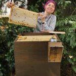 Ak25, Modul 7: Ernte Bamberger Lagenhonig, Standort Inselstadt / Weide am 12.07.2025 / Imkeranfängerkurs von Bienen-leben-in-Bamberg.de