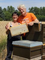 Ak25, Modul 7: Ernte Bamberger Lagenhonig, Standort Bughof am 05.07.2025 / Imkeranfängerkurs von Bienen-leben-in-Bamberg.de