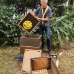 Ak25, Modul 7: Ernte Bamberger Lagenhonig, Standort Inselstadt / Weide am 12.07.2025 / Imkeranfängerkurs von Bienen-leben-in-Bamberg.de