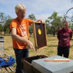 Ak25, Modul 7: Ernte Bamberger Lagenhonig, Standort Bughof am 05.07.2025 / Imkeranfängerkurs von Bienen-leben-in-Bamberg.de