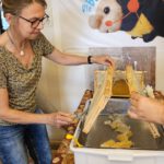 Honigverarbeitung Weide (AK25, Modul 8, Imkerkurs für Anfänger von Bienen-leben-in-Bamberg.de)