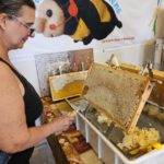 Honigverarbeitung Weide (AK25, Modul 8, Imkerkurs für Anfänger von Bienen-leben-in-Bamberg.de)