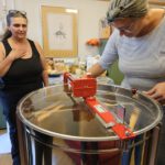 Honigverarbeitung Weide (AK25, Modul 8, Imkerkurs für Anfänger von Bienen-leben-in-Bamberg.de)