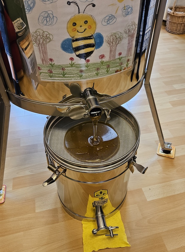 Honigverarbeitung Weide (AK25, Modul 8, Imkerkurs für Anfänger von Bienen-leben-in-Bamberg.de)