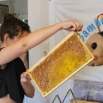 Honigverarbeitung Bughof (AK25, Modul 8, Imkerkurs für Anfänger von Bienen-leben-in-Bamberg.de)
