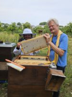 Öffentliche Honigernte zur BIWa-Sonntagsöffnung am Bienenweg in Bamberg / Iniative Bienen-leben-in-Bamberg.de