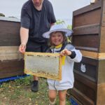 Öffentliche Honigernte zur BIWa-Sonntagsöffnung am Bienenweg in Bamberg / Iniative Bienen-leben-in-Bamberg.de