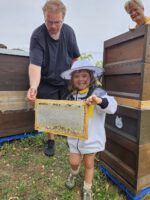 Öffentliche Honigernte zur BIWa-Sonntagsöffnung am Bienenweg in Bamberg / Iniative Bienen-leben-in-Bamberg.de